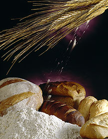 pain-farine-epis-de-ble--zKP37